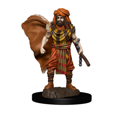 D&D Premium Painted Figures Human Druid Male