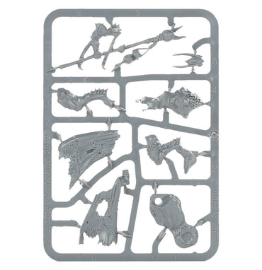 Beasts of Chaos Great Bray-Shaman