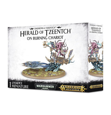 Warhammer Age of Sigmar: Daemons of Tzeentch Herald on Burning Chariot