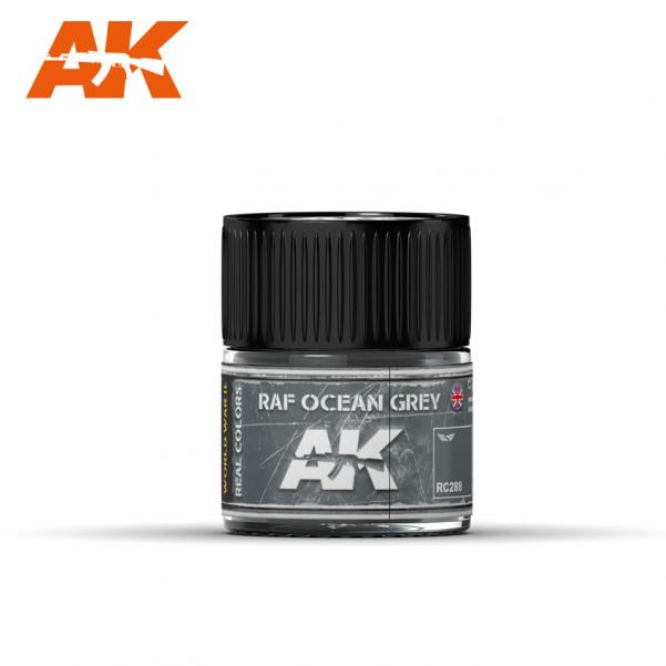 Ak-Interactive: Real Colors - Raf Ocean Grey - 10Ml