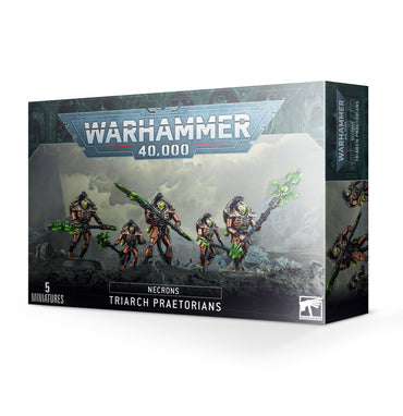 Warhammer 40000: Necrons Triarch Praetorians*