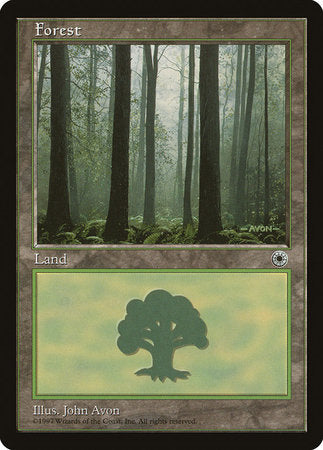 Forest (Ferns on Ground) [Portal]