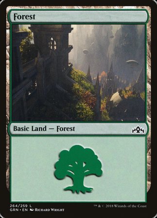 Forest [Guilds of Ravnica]