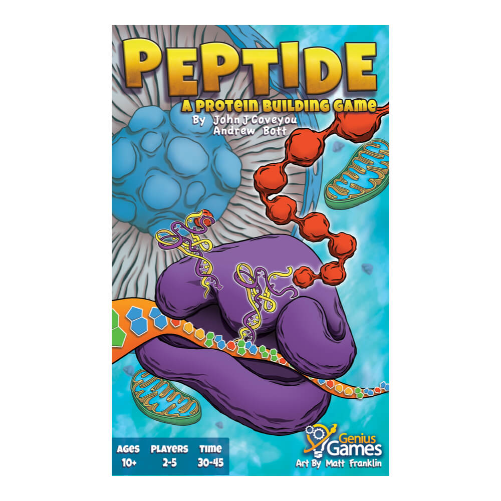 Peptide A Protein Building Game