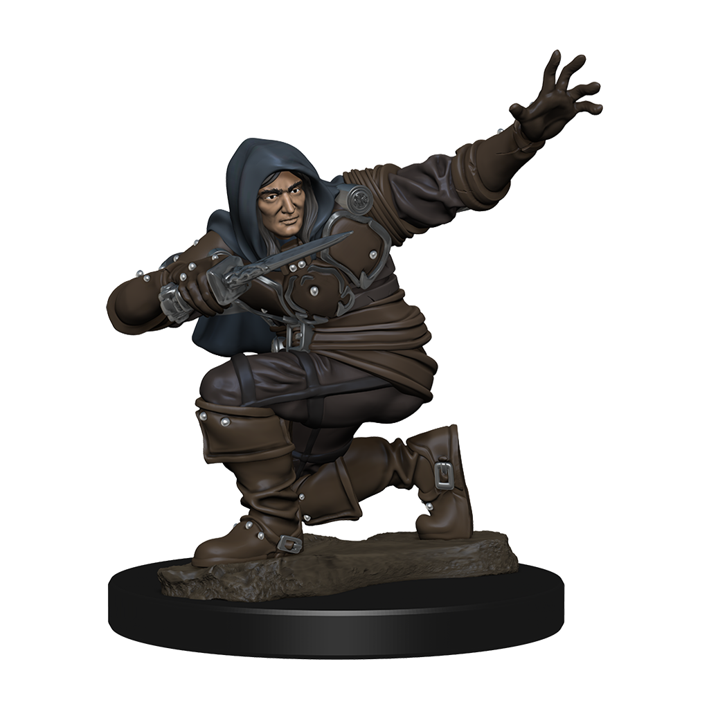 Pathfinder Battles Premium Painted Figure Human Rogue Male