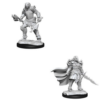 D&D Nolzurs Marvelous Unpainted Miniatures Dragonborn Fighter Female