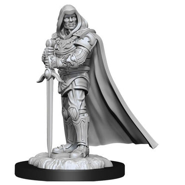 D&D Nolzurs Marvelous Unpainted Miniatures Human Paladin Male