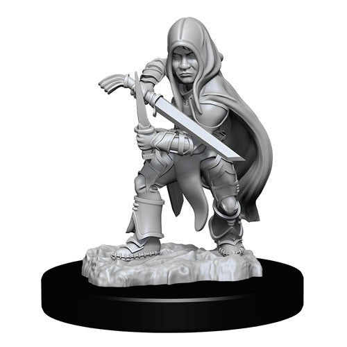 D&D Nolzurs Marvelous Unpainted Miniatures Halfling Rogue Male