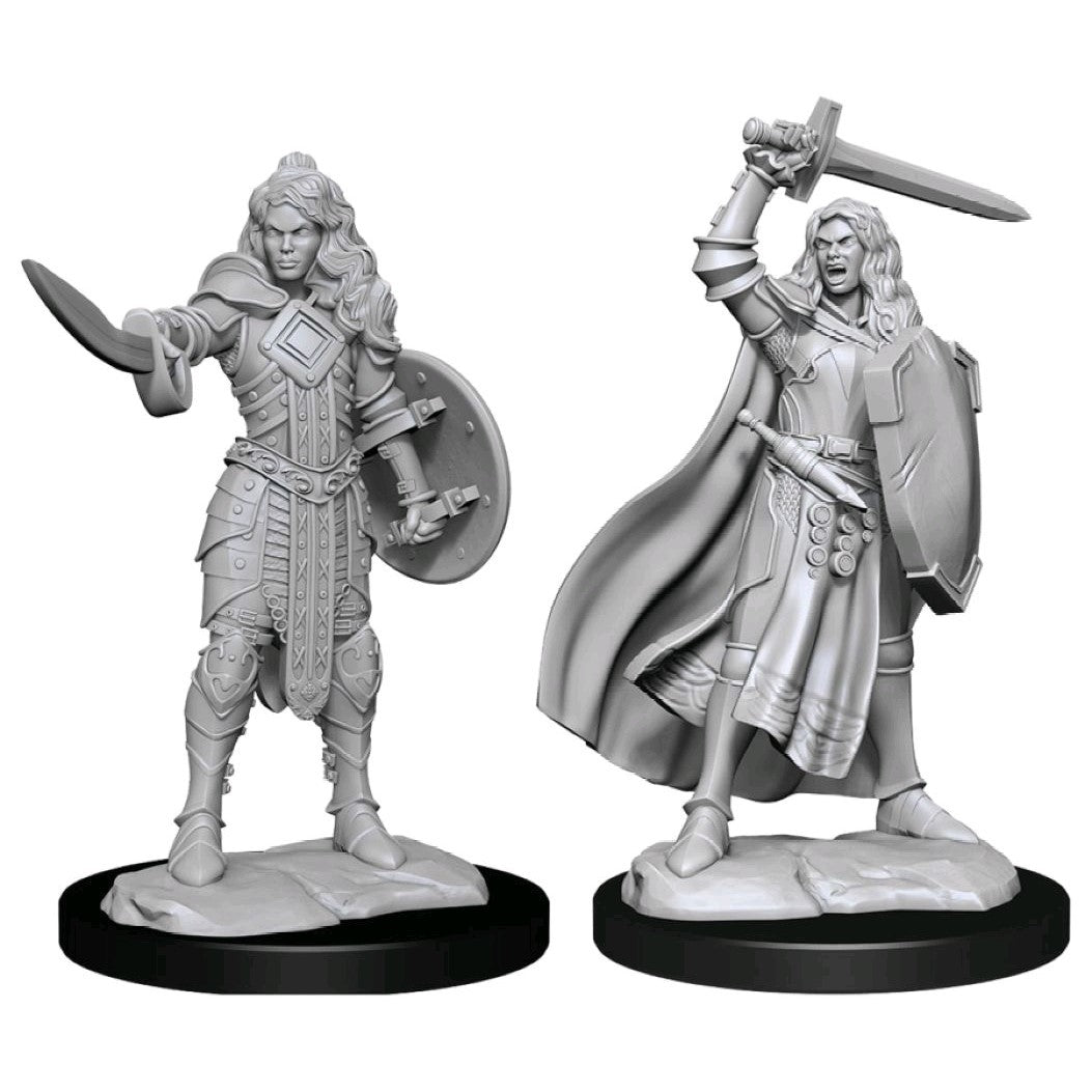 Pathfinder Deepcuts Unpainted Miniatures Human Champion Female