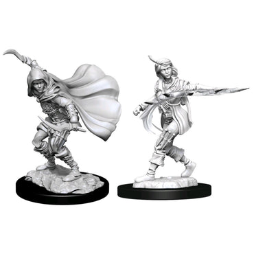 Pathfinder Deepcuts Unpainted Miniatures Human Rogue Female