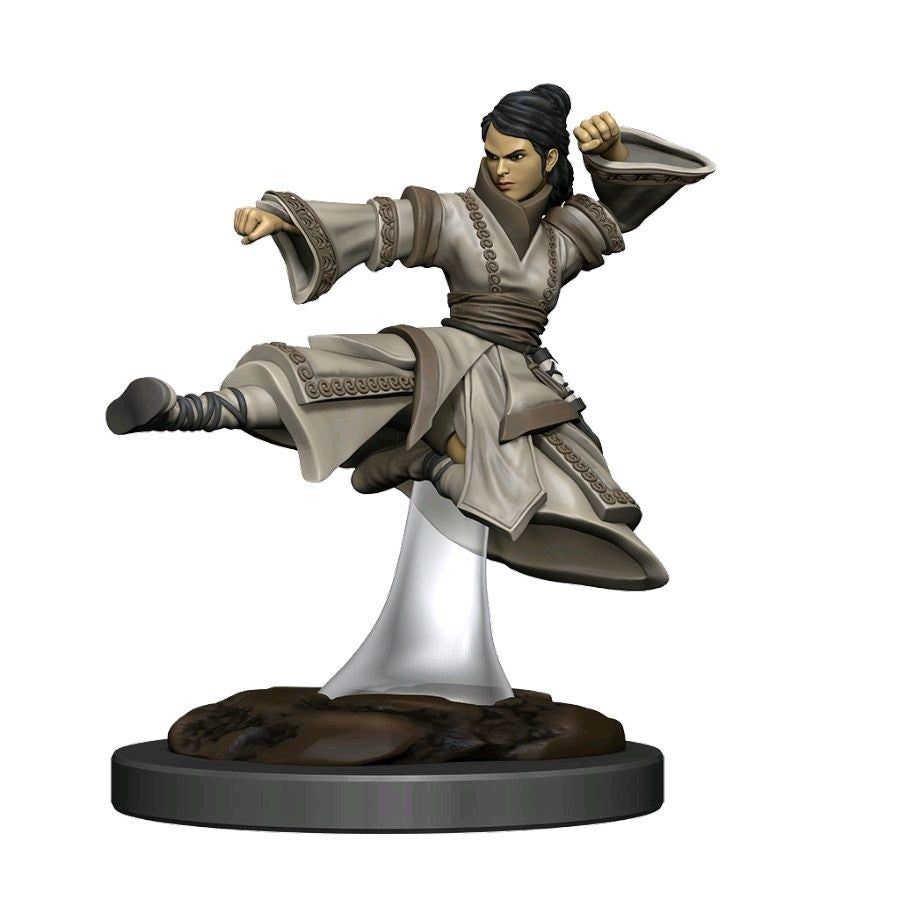 D&D Premium Painted Figures Human Monk Female